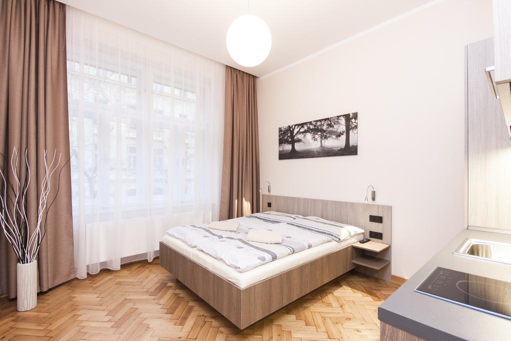 Apartmán Manesova Astra